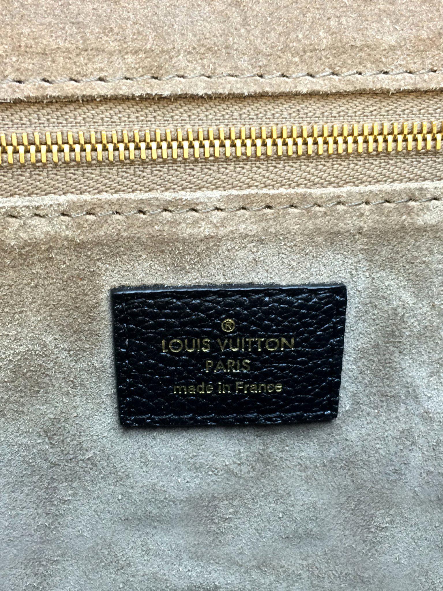 Louis Vuitton Biface Bag