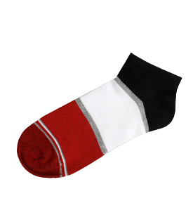 WA1011-MULTY-Ankle Socks For Men