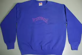 Wisconsin Vintage Nutmeg Mills Made in USA Blue Pink Block Spellout Crewneck 90's Sweatshirt