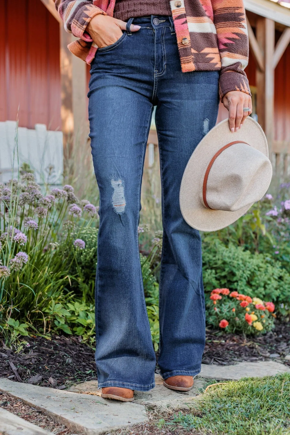 YMI Distressed Flare Jeans- Millie Wash